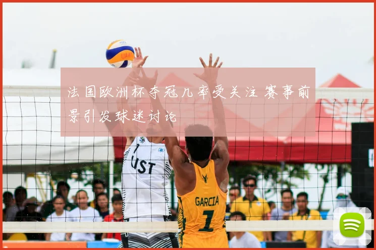 法国欧洲杯夺冠几率受关注 赛事前景引发球迷讨论
