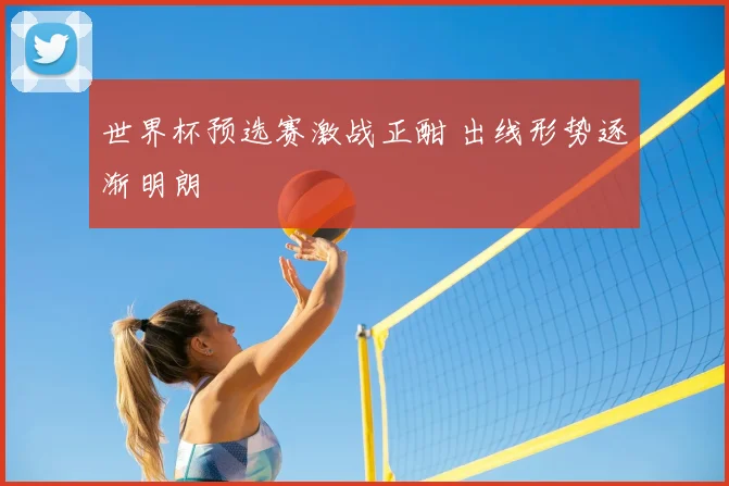 世界杯预选赛激战正酣 出线形势逐渐明朗