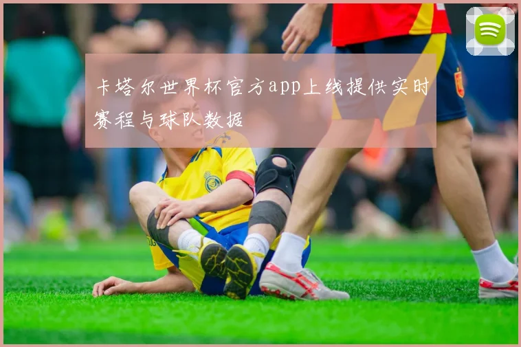 卡塔尔世界杯官方app上线提供实时赛程与球队数据
